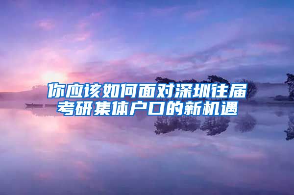 你应该如何面对深圳往届考研集体户口的新机遇