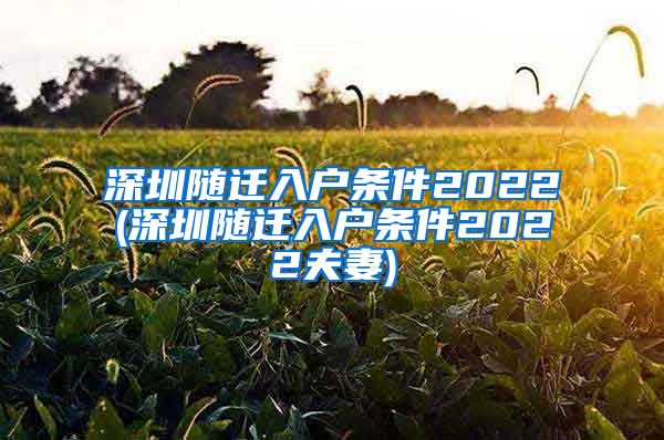 深圳随迁入户条件2022(深圳随迁入户条件2022夫妻)