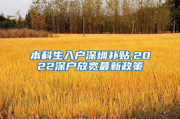 本科生入户深圳补贴,2022深户放宽蕞新政策