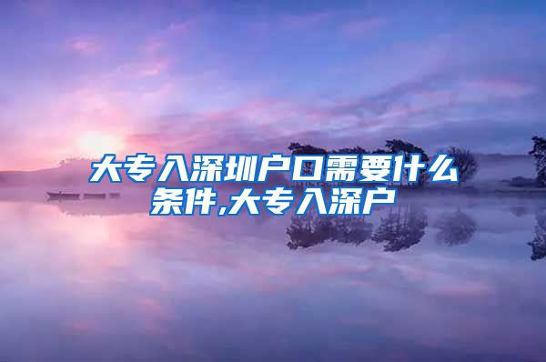 大专入深圳户口需要什么条件,大专入深户