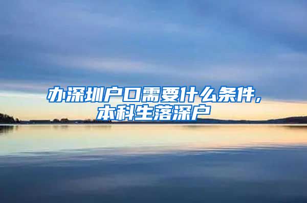 办深圳户口需要什么条件,本科生落深户