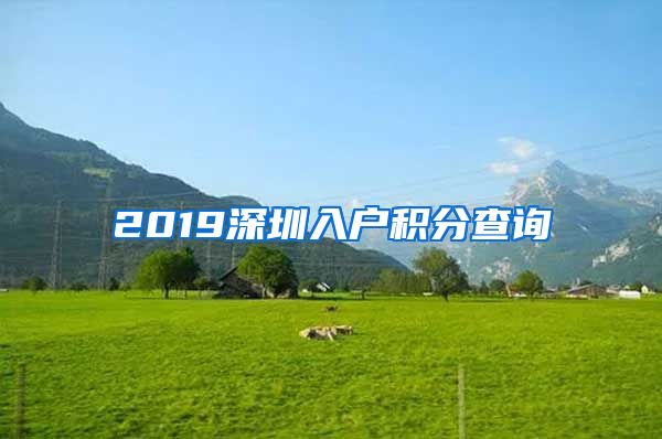 2019深圳入户积分查询