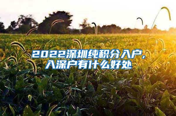 2022深圳纯积分入户,入深户有什么好处