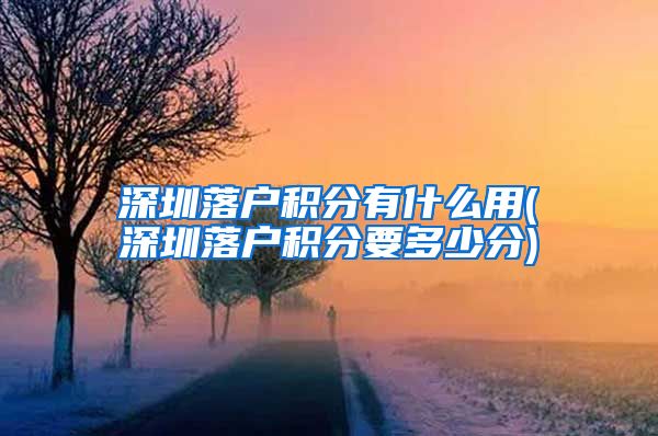 深圳落户积分有什么用(深圳落户积分要多少分)