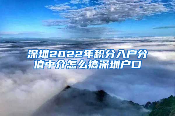 深圳2022年积分入户分值中介怎么搞深圳户口