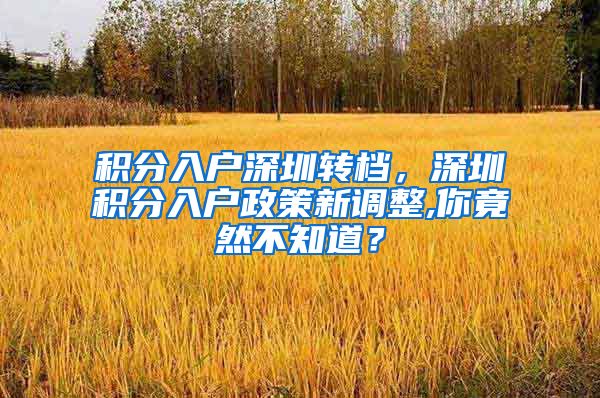 积分入户深圳转档，深圳积分入户政策新调整,你竟然不知道？