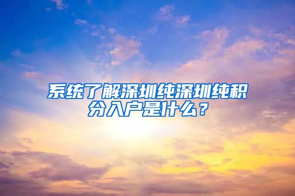 系统了解深圳纯深圳纯积分入户是什么？