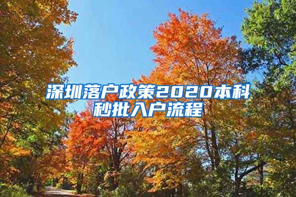 深圳落户政策2020本科秒批入户流程