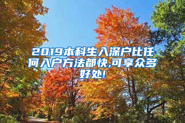 2019本科生入深户比任何入户方法都快,可享众多好处!