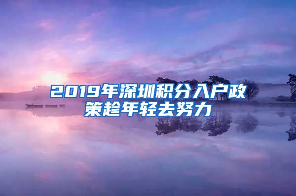 2019年深圳积分入户政策趁年轻去努力