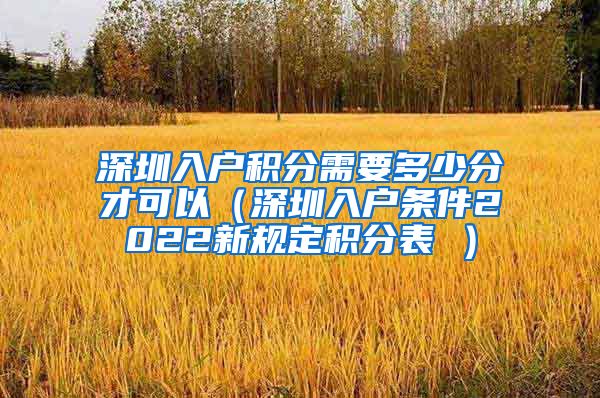 深圳入户积分需要多少分才可以（深圳入户条件2022新规定积分表 ）