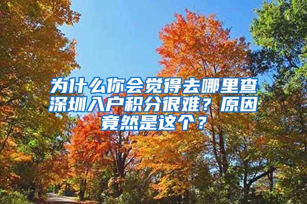 为什么你会觉得去哪里查深圳入户积分很难？原因竟然是这个？