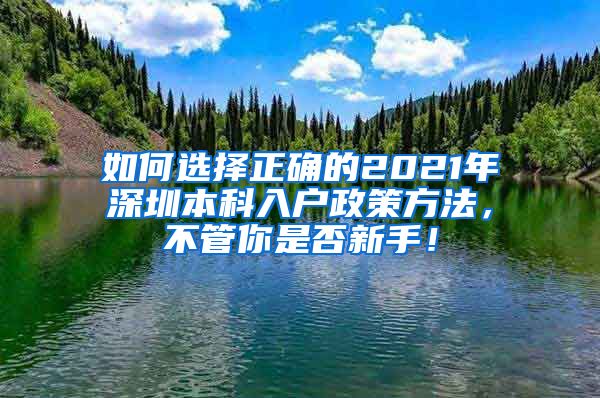 如何选择正确的2021年深圳本科入户政策方法，不管你是否新手！