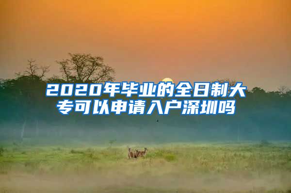 2020年毕业的全日制大专可以申请入户深圳吗