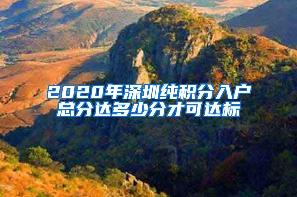 2020年深圳纯积分入户总分达多少分才可达标