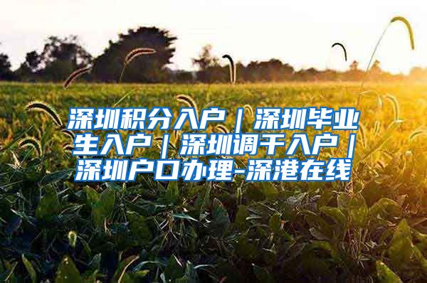 深圳积分入户｜深圳毕业生入户｜深圳调干入户｜深圳户口办理-深港在线