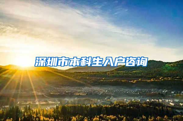 深圳市本科生入户咨询