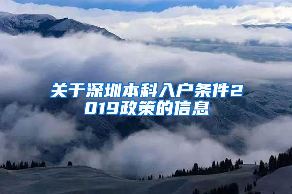 关于深圳本科入户条件2019政策的信息