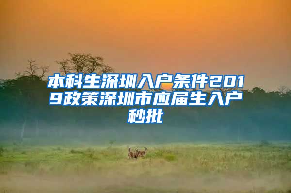 本科生深圳入户条件2019政策深圳市应届生入户秒批