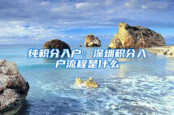 纯积分入户：深圳积分入户流程是什么