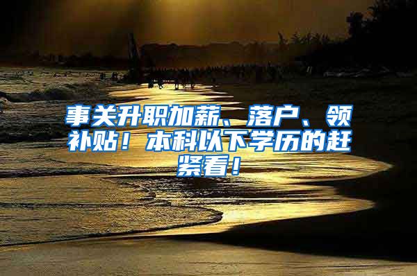 事关升职加薪、落户、领补贴！本科以下学历的赶紧看！