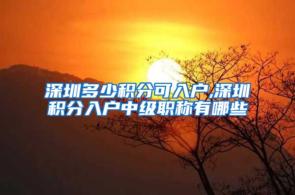 深圳多少积分可入户,深圳积分入户中级职称有哪些