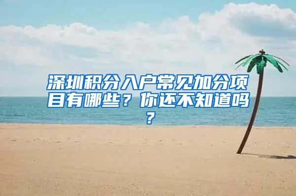 深圳积分入户常见加分项目有哪些？你还不知道吗？