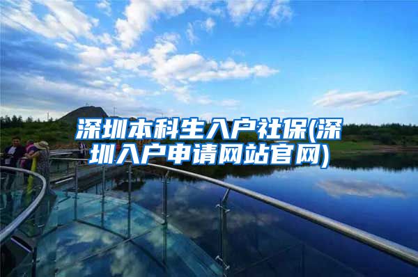 深圳本科生入户社保(深圳入户申请网站官网)