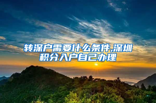 转深户需要什么条件,深圳积分入户自己办理