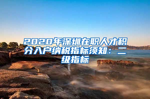 2020年深圳在职人才积分入户纳税指标须知：二级指标