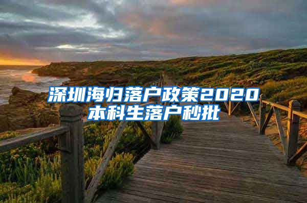 深圳海归落户政策2020本科生落户秒批