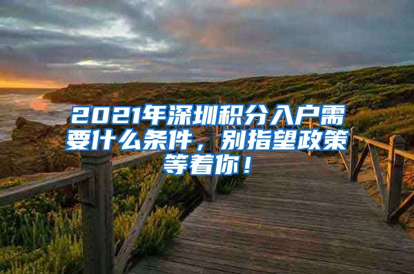 2021年深圳积分入户需要什么条件，别指望政策等着你！