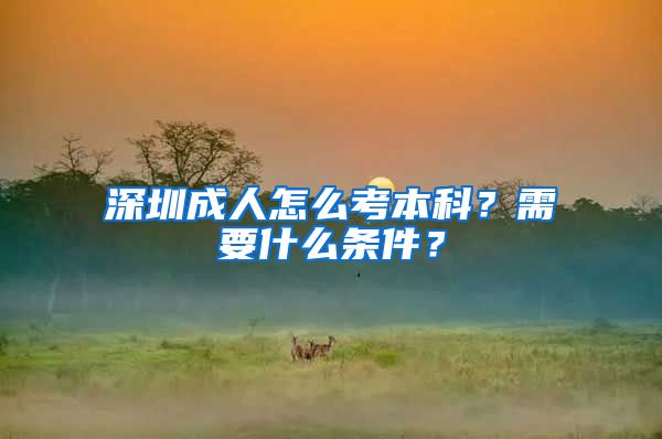 深圳成人怎么考本科？需要什么条件？