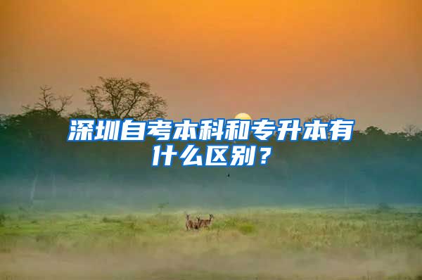 深圳自考本科和专升本有什么区别？