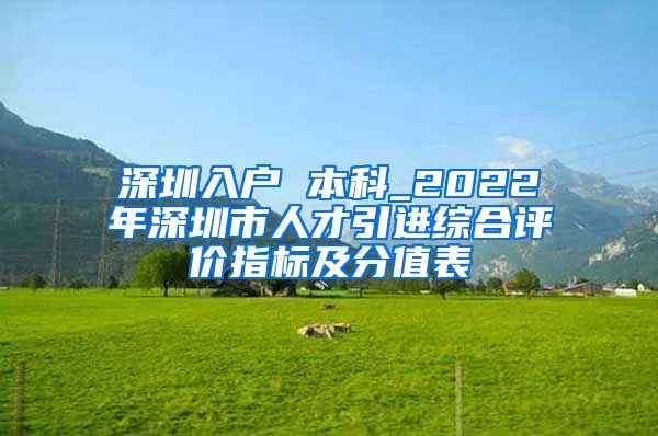 深圳入户 本科_2022年深圳市人才引进综合评价指标及分值表