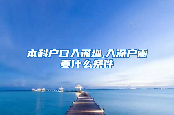 本科户口入深圳,入深户需要什么条件