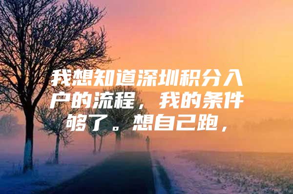 我想知道深圳积分入户的流程，我的条件够了。想自己跑，