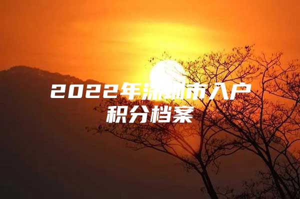 2022年深圳市入户积分档案