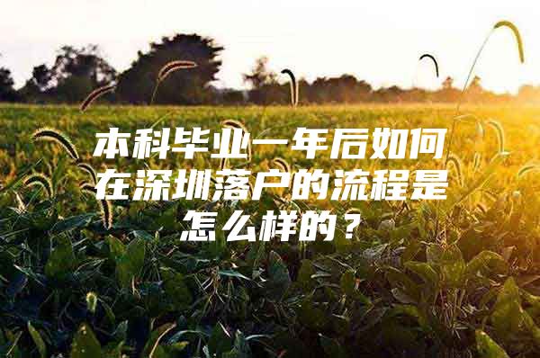 本科毕业一年后如何在深圳落户的流程是怎么样的？