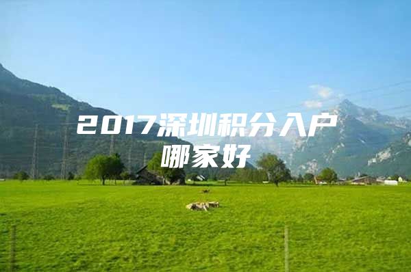 2017深圳积分入户哪家好