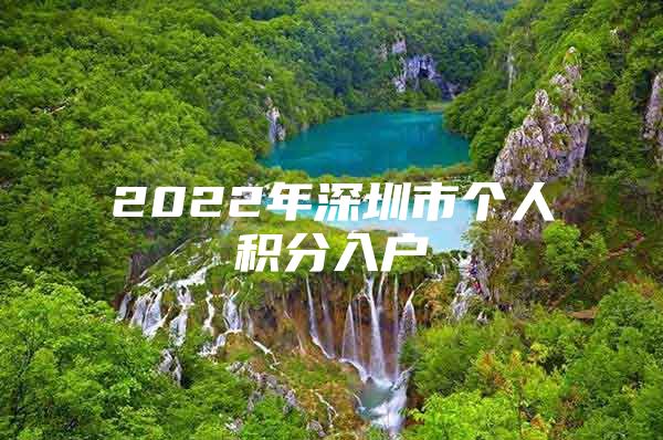 2022年深圳市个人积分入户