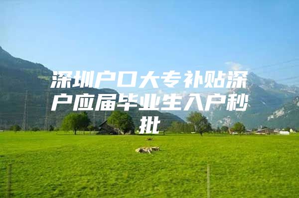 深圳户口大专补贴深户应届毕业生入户秒批