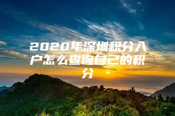 2020年深圳积分入户怎么查询自己的积分