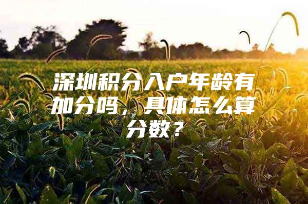 深圳积分入户年龄有加分吗，具体怎么算分数？