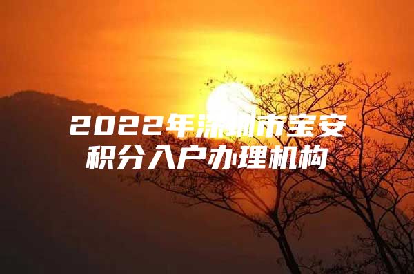 2022年深圳市宝安积分入户办理机构