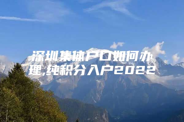 深圳集体户口如何办理,纯积分入户2022