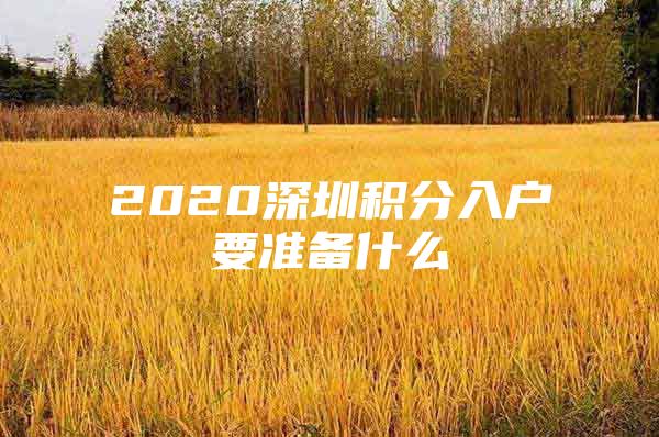 2020深圳积分入户要准备什么