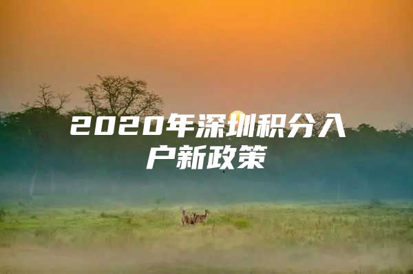 2020年深圳积分入户新政策