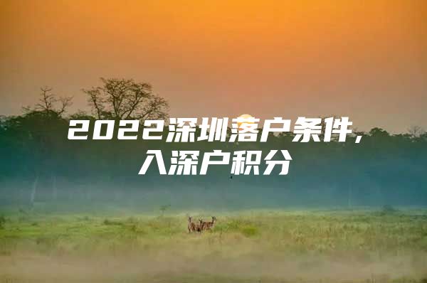 2022深圳落户条件,入深户积分