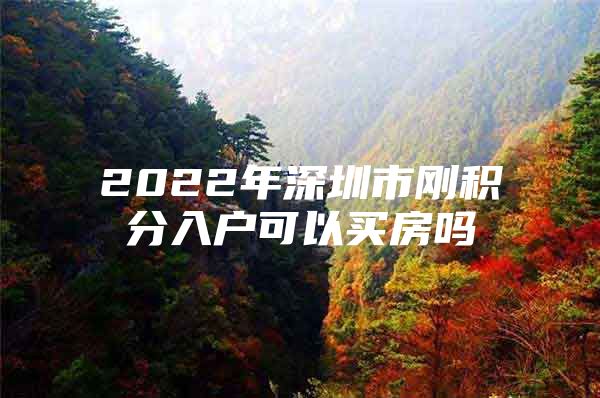 2022年深圳市刚积分入户可以买房吗